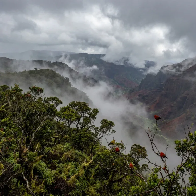 Kōkeʻe State Park