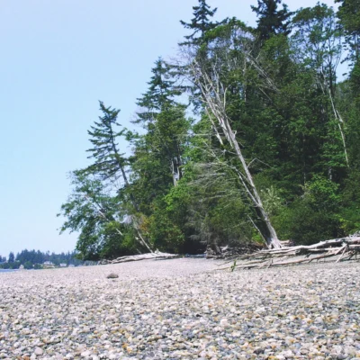 Kopachuck State Park