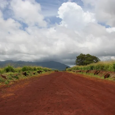 Kukaniloko Birthstones State Monument