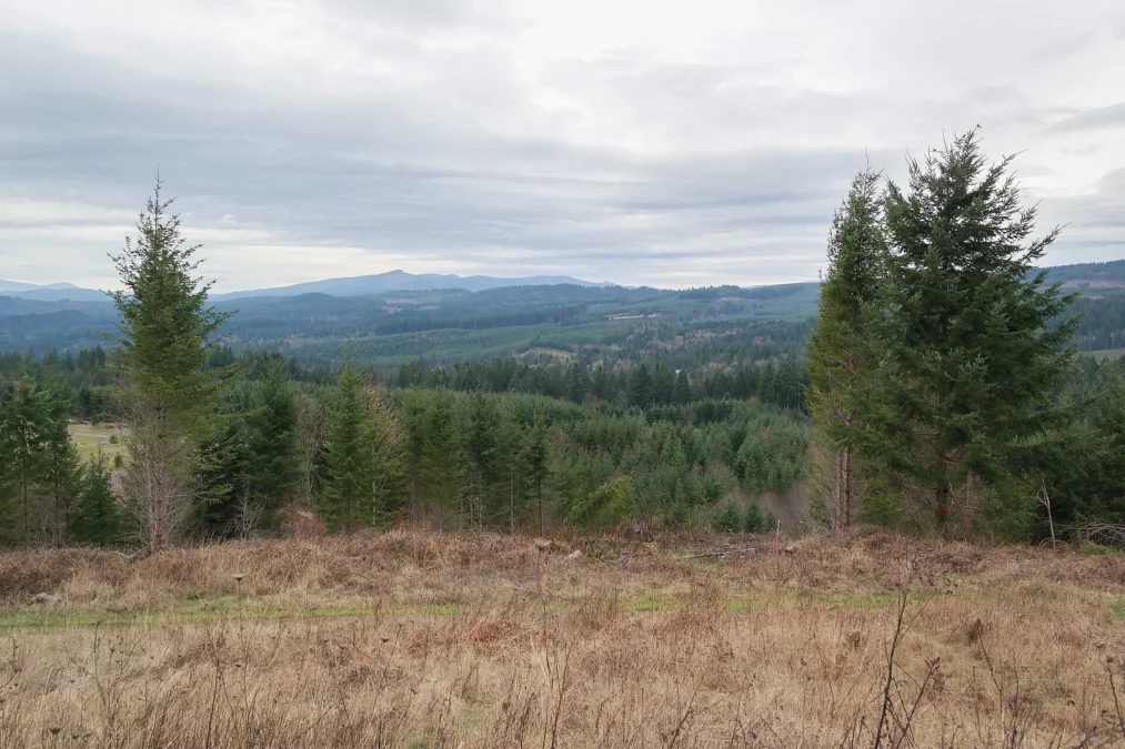 L.L. Stub Stewart State Park 79 Meadow and forested hills seen from L.L. “Stub” Stewart State Park near Buxton, Oregon