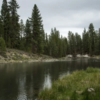 La Pine State Park
