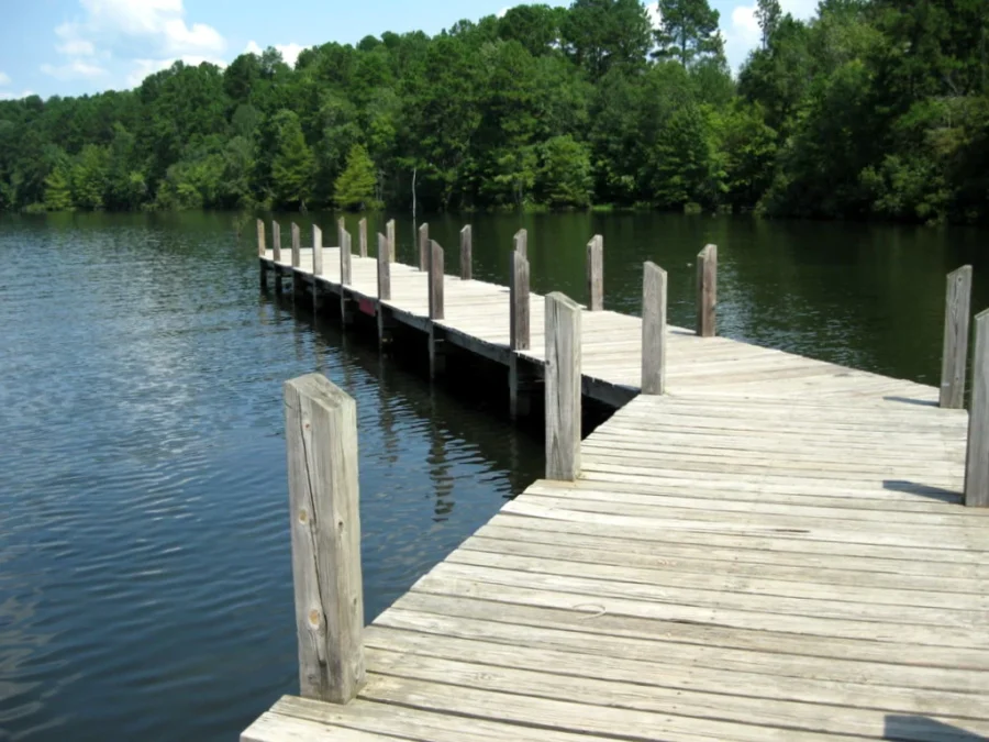 Lake Claiborne State Park 15 Lake Claiborne State Park (Louisiana)