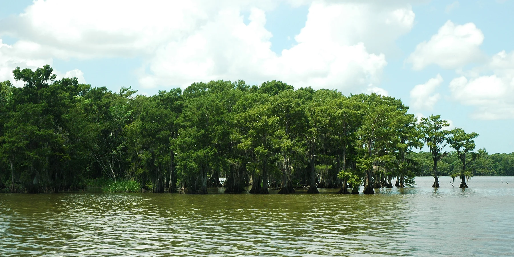Lake Fausse Pointe State Park