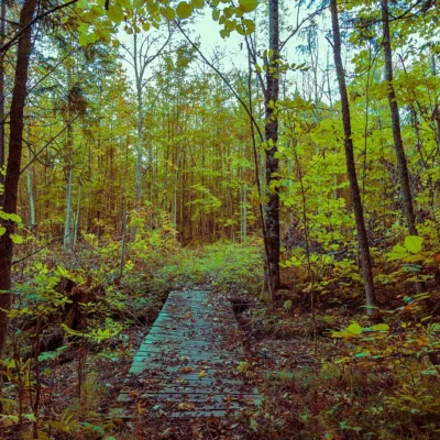 Lake Gogebic State Park