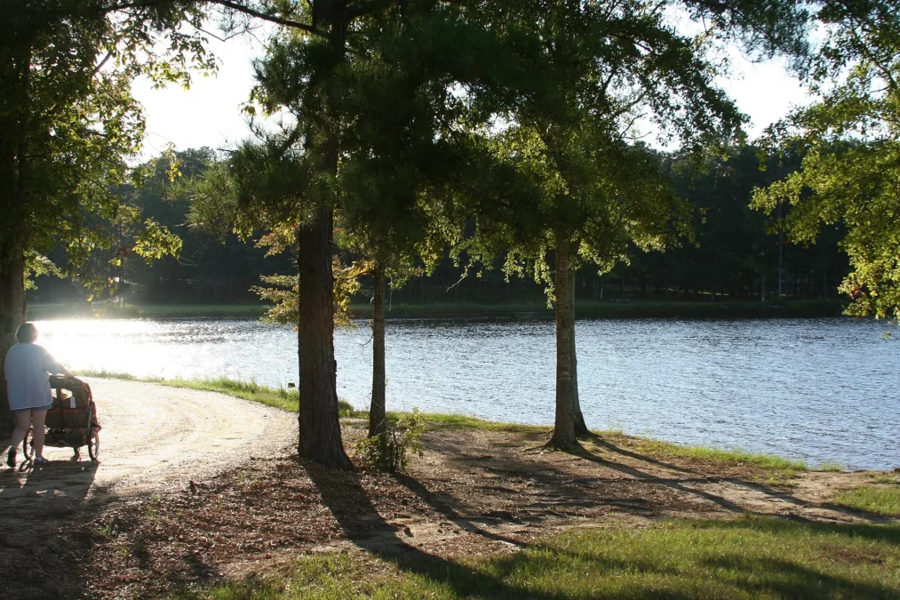 Lake Lincoln State Park (Mississippi)
