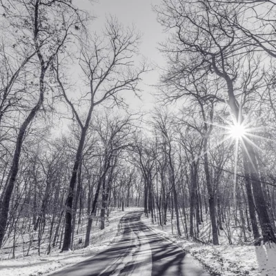 Lake Maria State Park