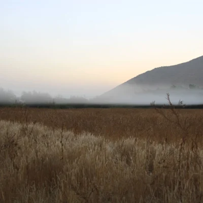 Lake Perris State Recreation Area