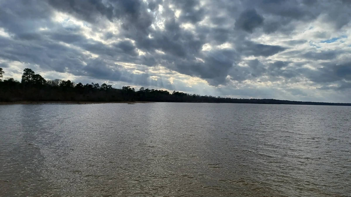 Lake Waccamaw State Park (North Carolina)