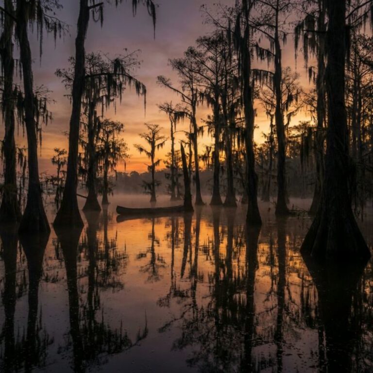 Lake Fausse Pointe State Park