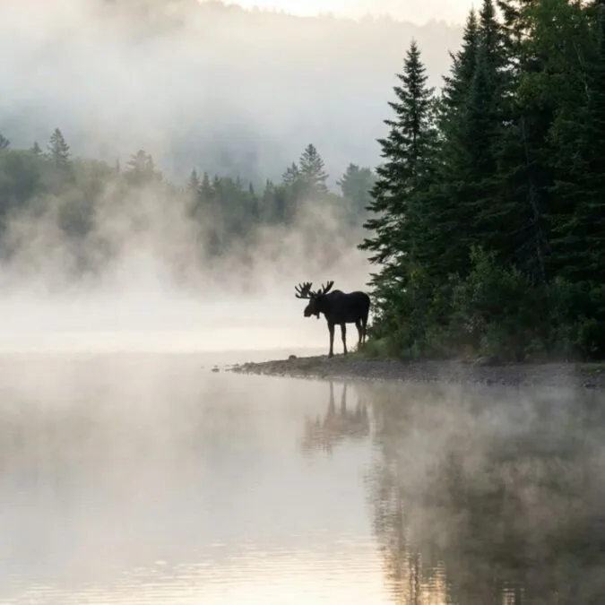 Hero image for Lake Francis State Park