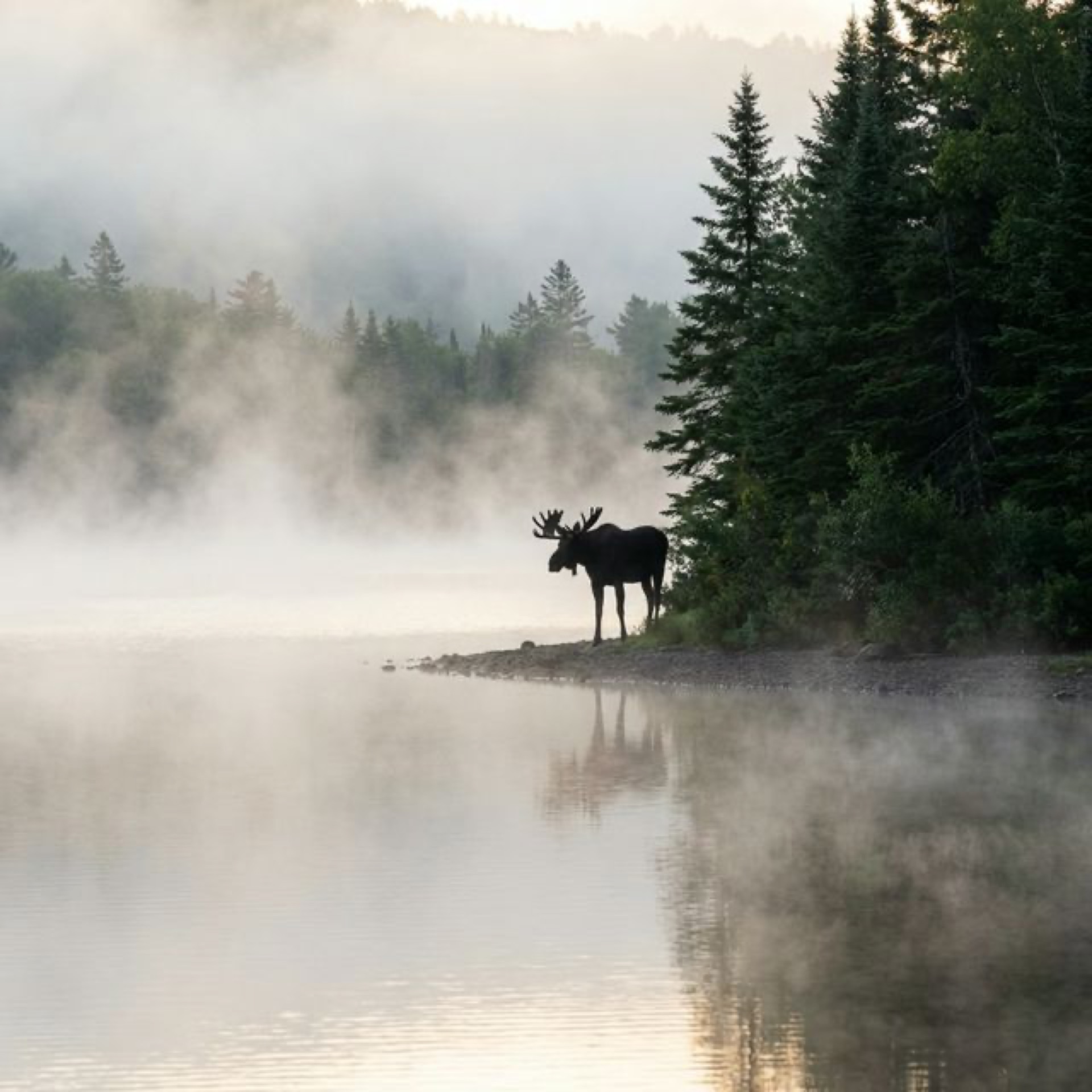 Lake Francis State Park
