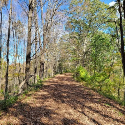 Larkin State Park Trail