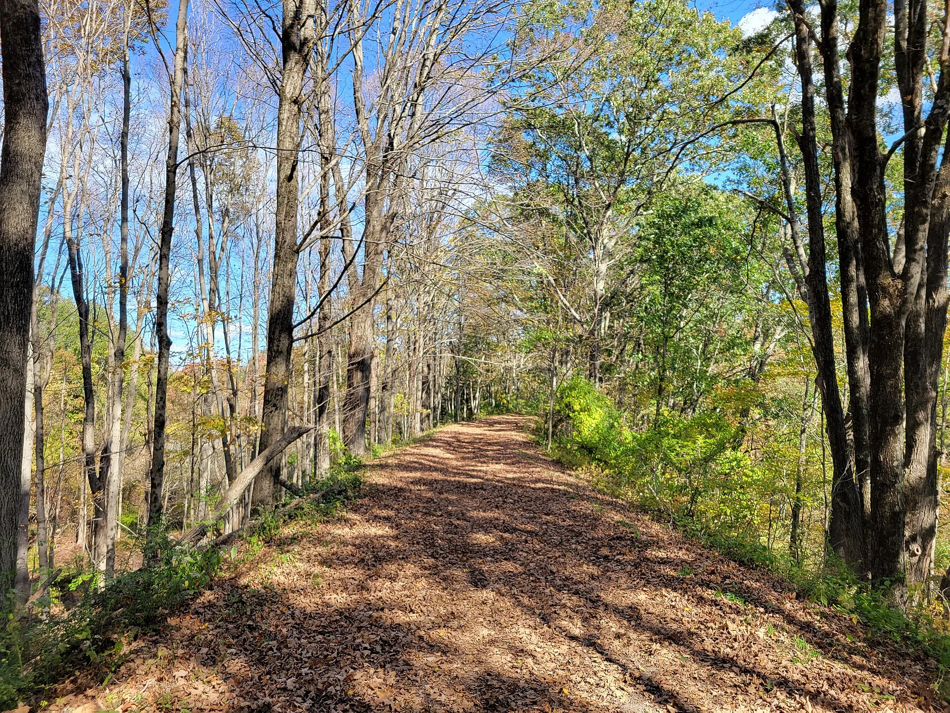 Larkin State Park Trail