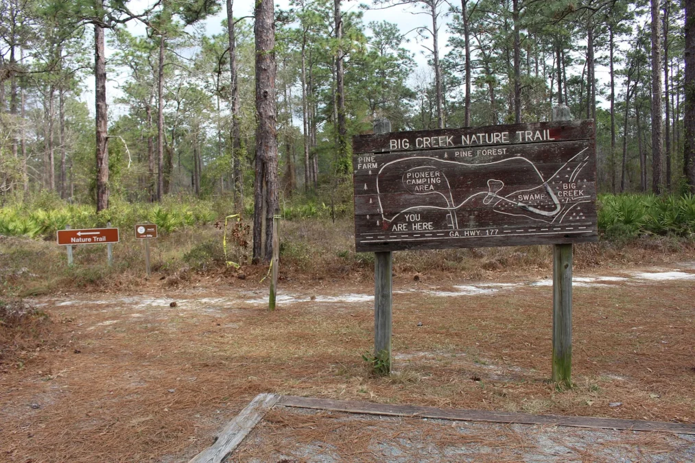 Laura S. Walker State Park (Georgia)