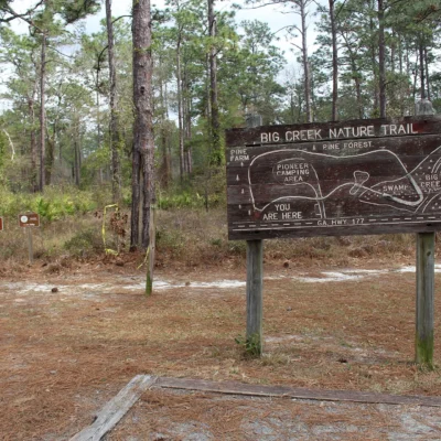 Laura S. Walker State Park
