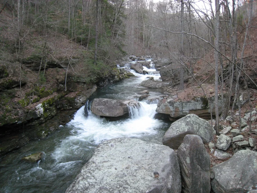 Laurel–Snow State Natural Area (Tennessee)