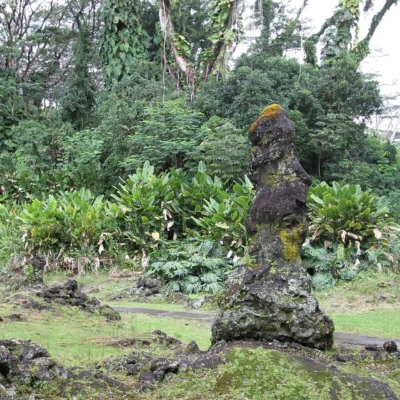 Lava Tree State Monument