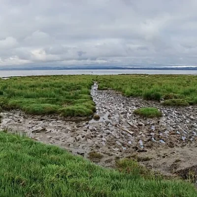 Leadbetter Point State Park