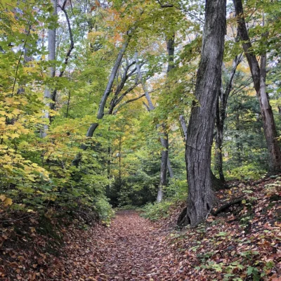 Leelanau State Park