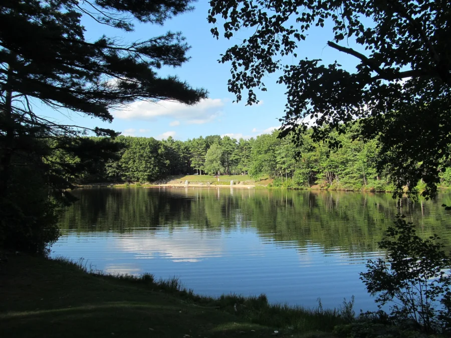 Leominster State Forest (Massachusetts)