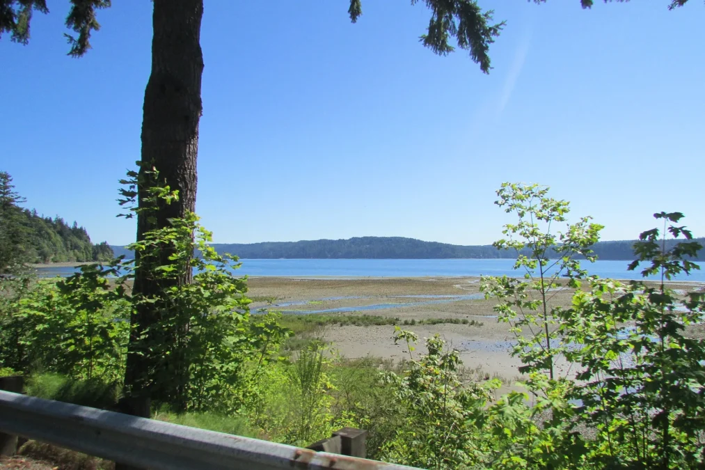 Lilliwaup State Park 39 Lilliwaup Creek delta on the western shore of Hood Canal, Washington