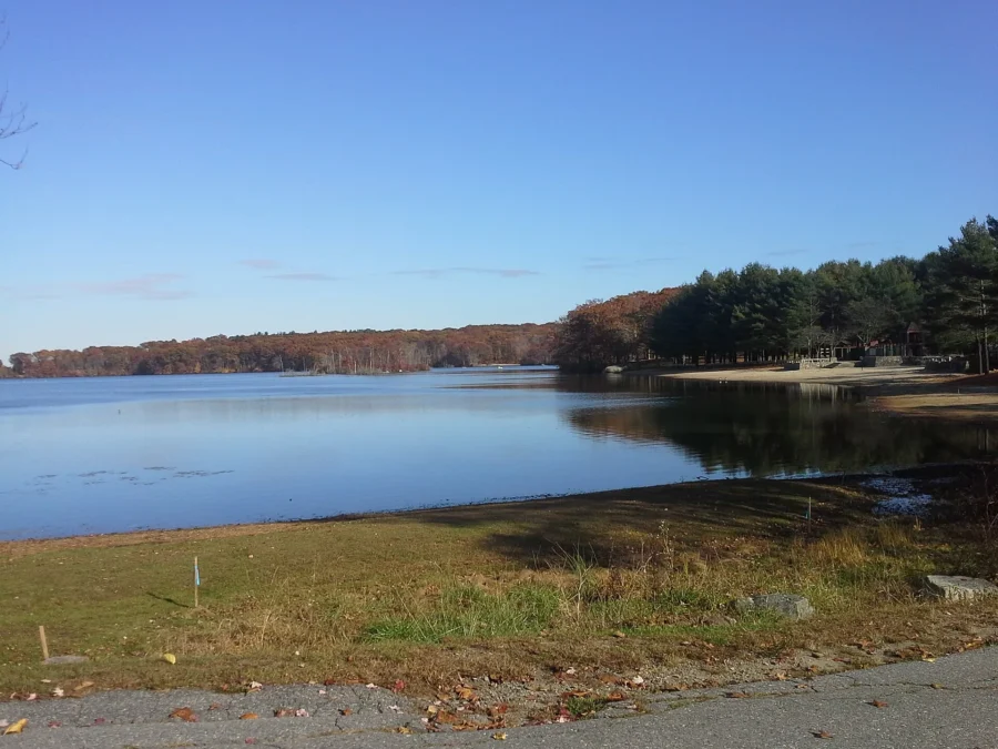 Olney Pond and its wooded shore in late autumn light, Lincoln Woods State Park, Rhode Island
