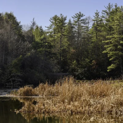 Little Beaver State Park