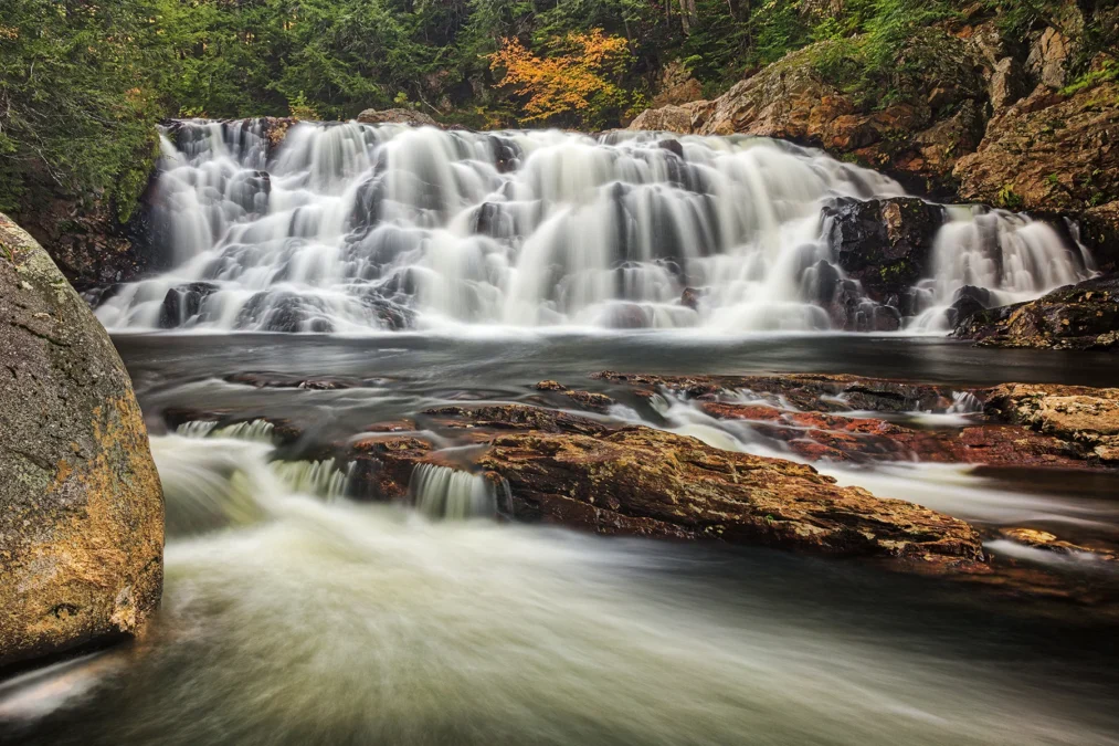 Livermore Falls State Forest (New Hampshire)
