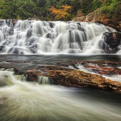 Livermore Falls State Forest