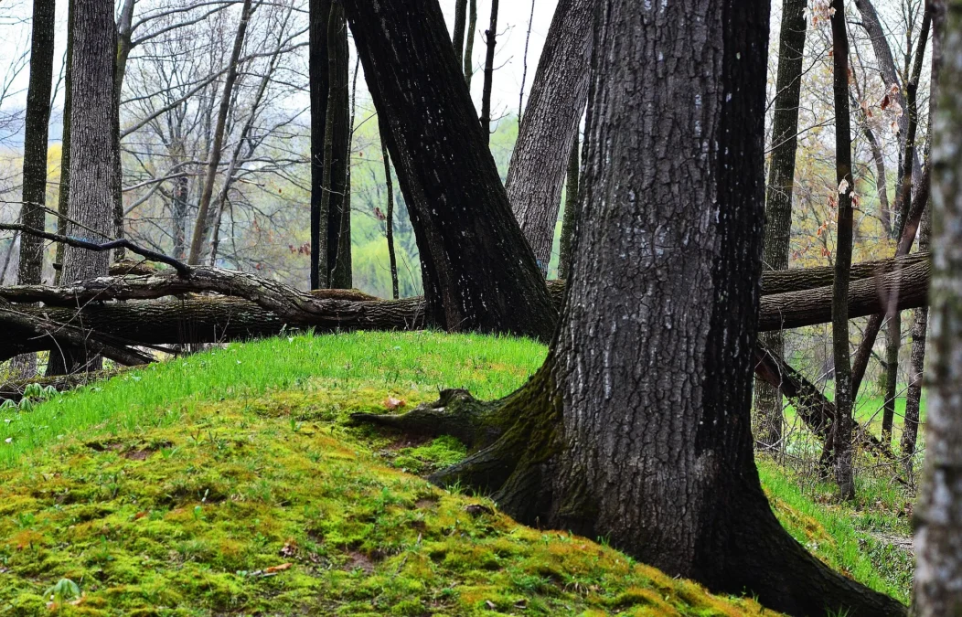 Lizard Mound State Park (Wisconsin)