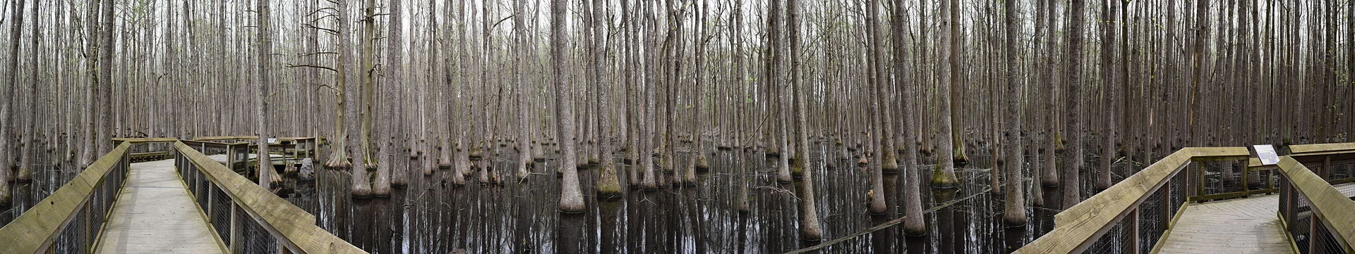 Louisiana Purchase State Park