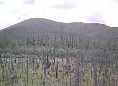 Lower Chatanika River State Recreation Area