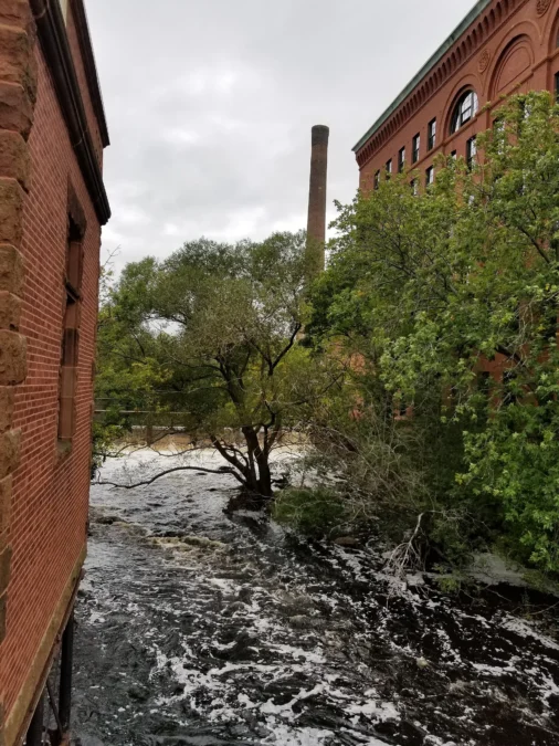 Lower Neponset River Trail (Massachusetts)