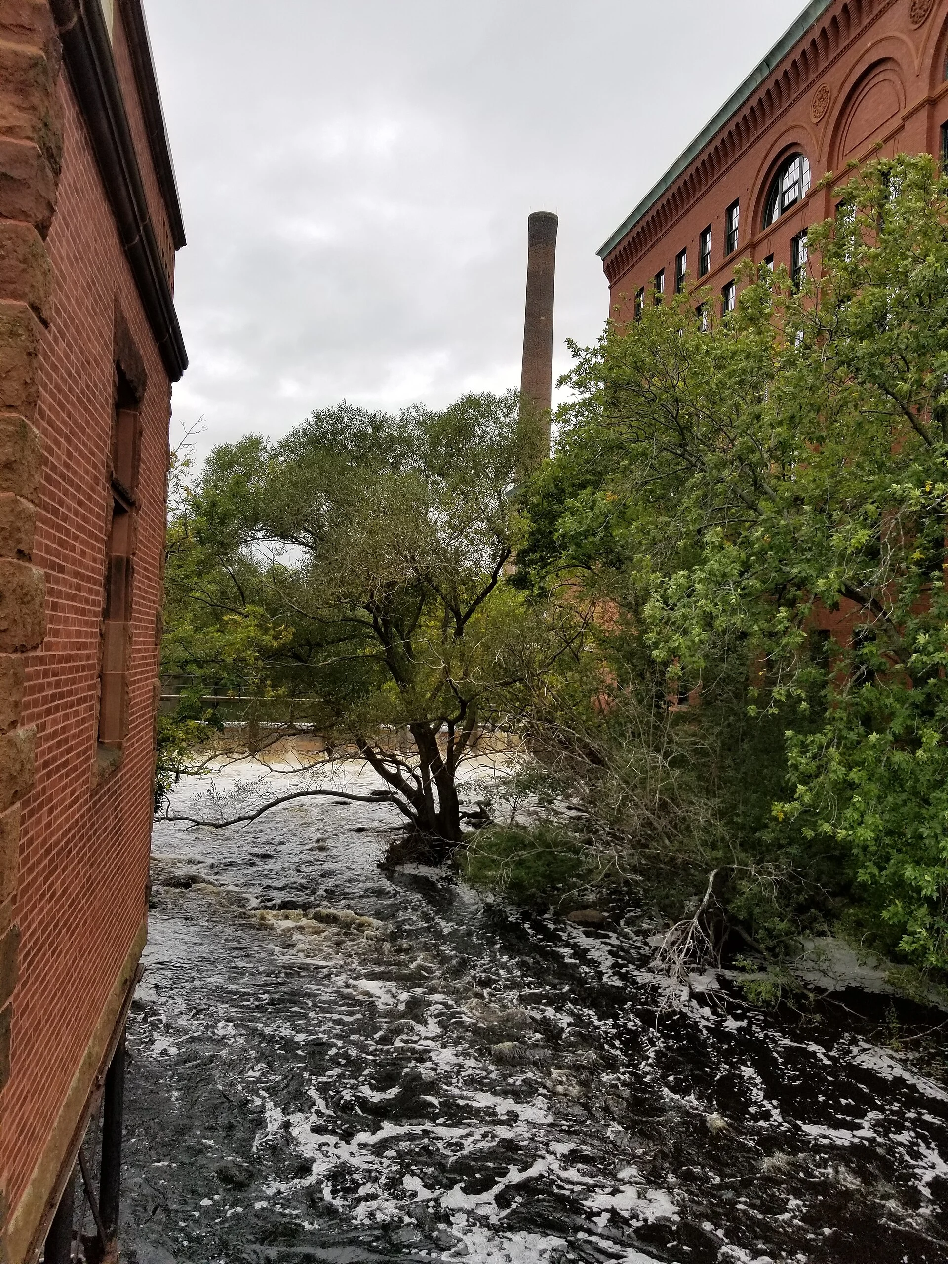 Lower Neponset River Trail