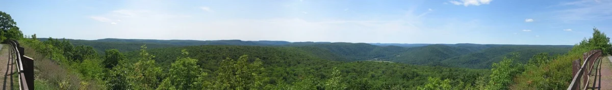 Loyalsock State Forest (Pennsylvania)