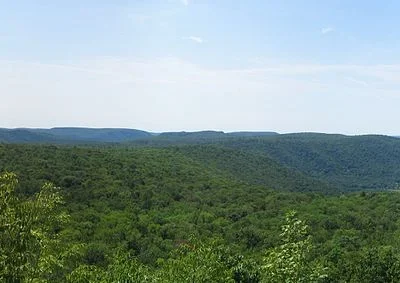Loyalsock State Forest
