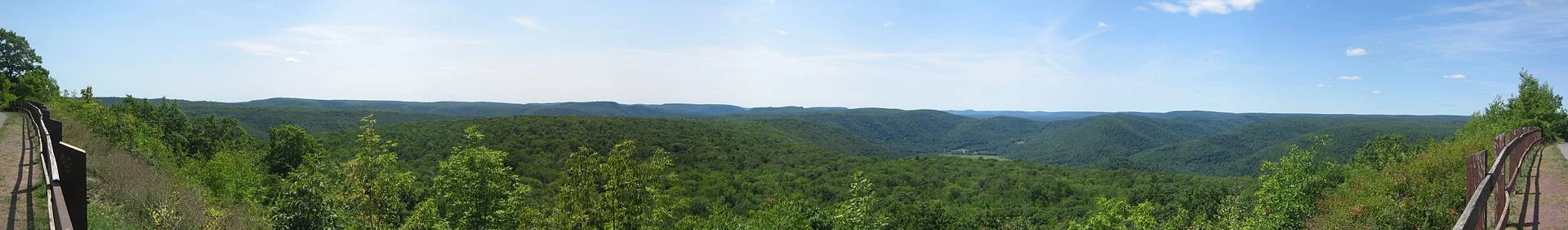 Loyalsock State Forest