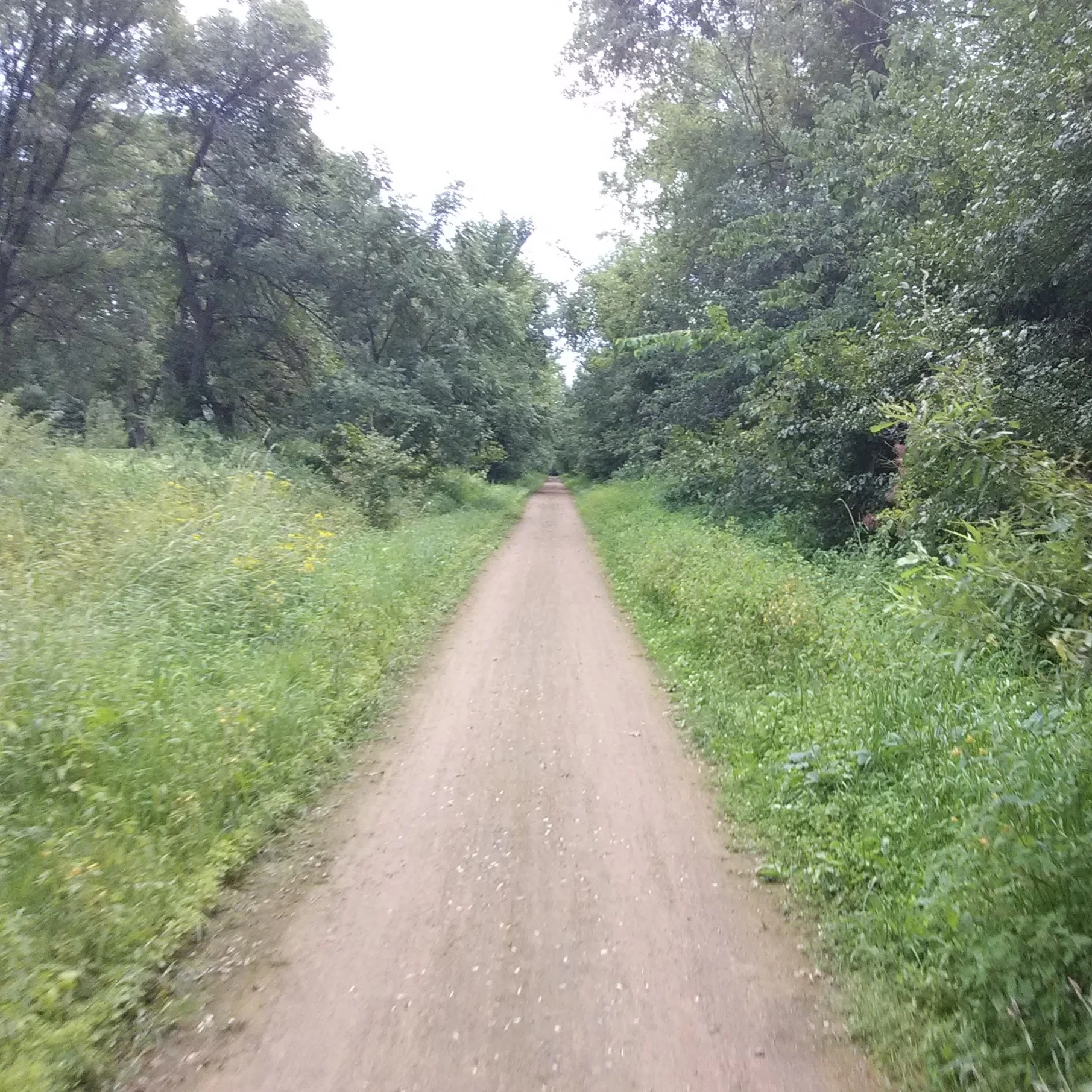 Luce Line State Trail