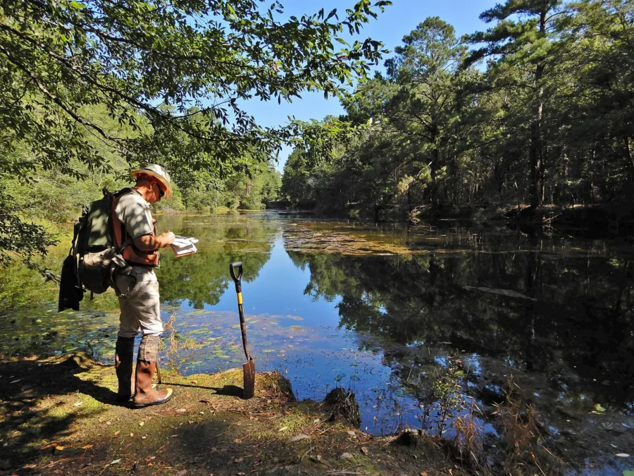 Lumber River State Park 8 Lumber River State Park (North Carolina)