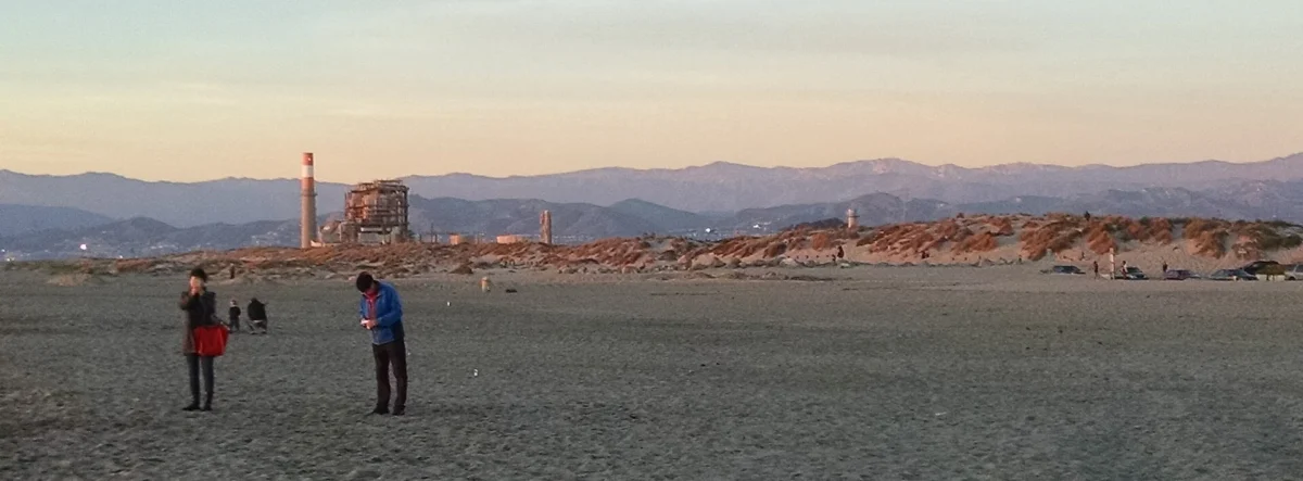 Mandalay State Beach (California)