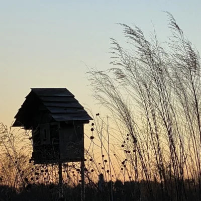 Mason Neck State Park