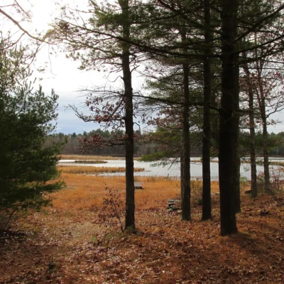 Massasoit State Park
