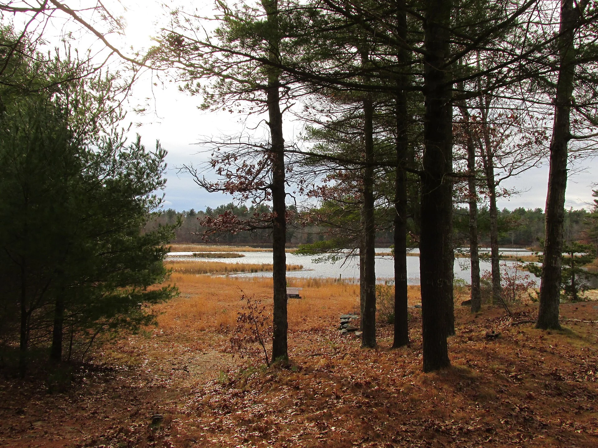Massasoit State Park