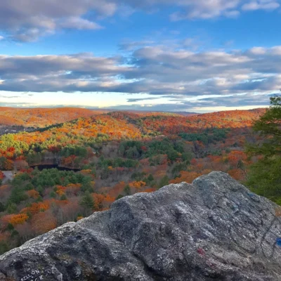 Mattatuck State Forest