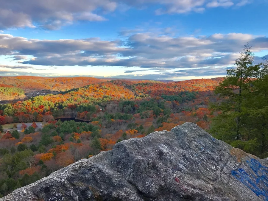 Mattatuck State Forest (Connecticut)