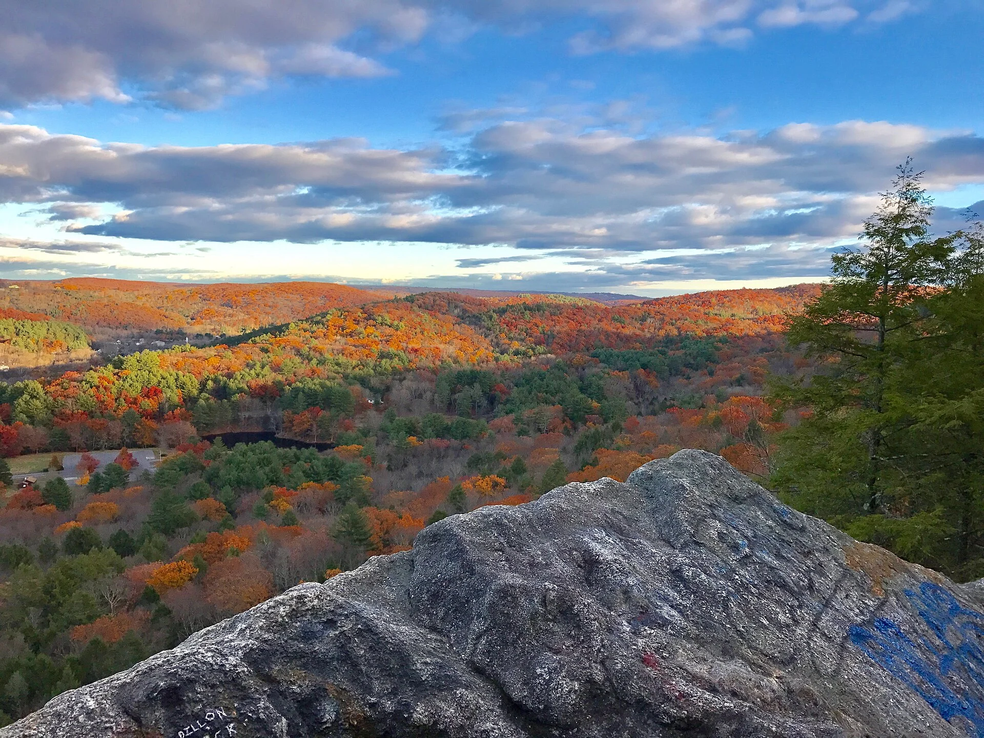 Mattatuck State Forest