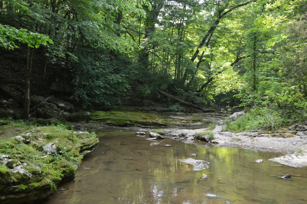 McCormicks Creek State Park 15 McCormicks Creek State Park (Indiana)