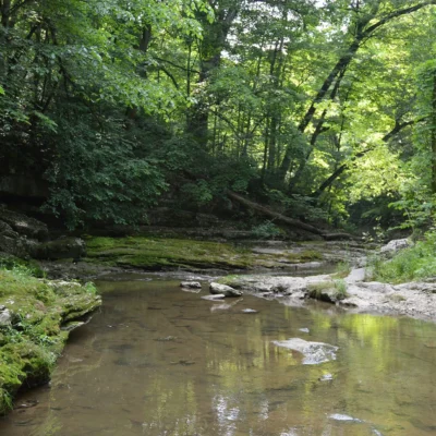McCormicks Creek State Park