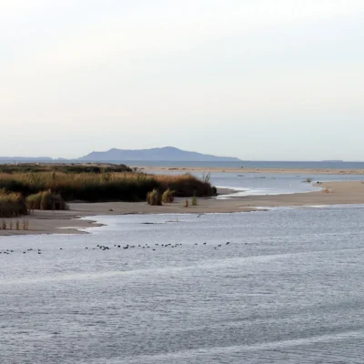McGrath State Beach