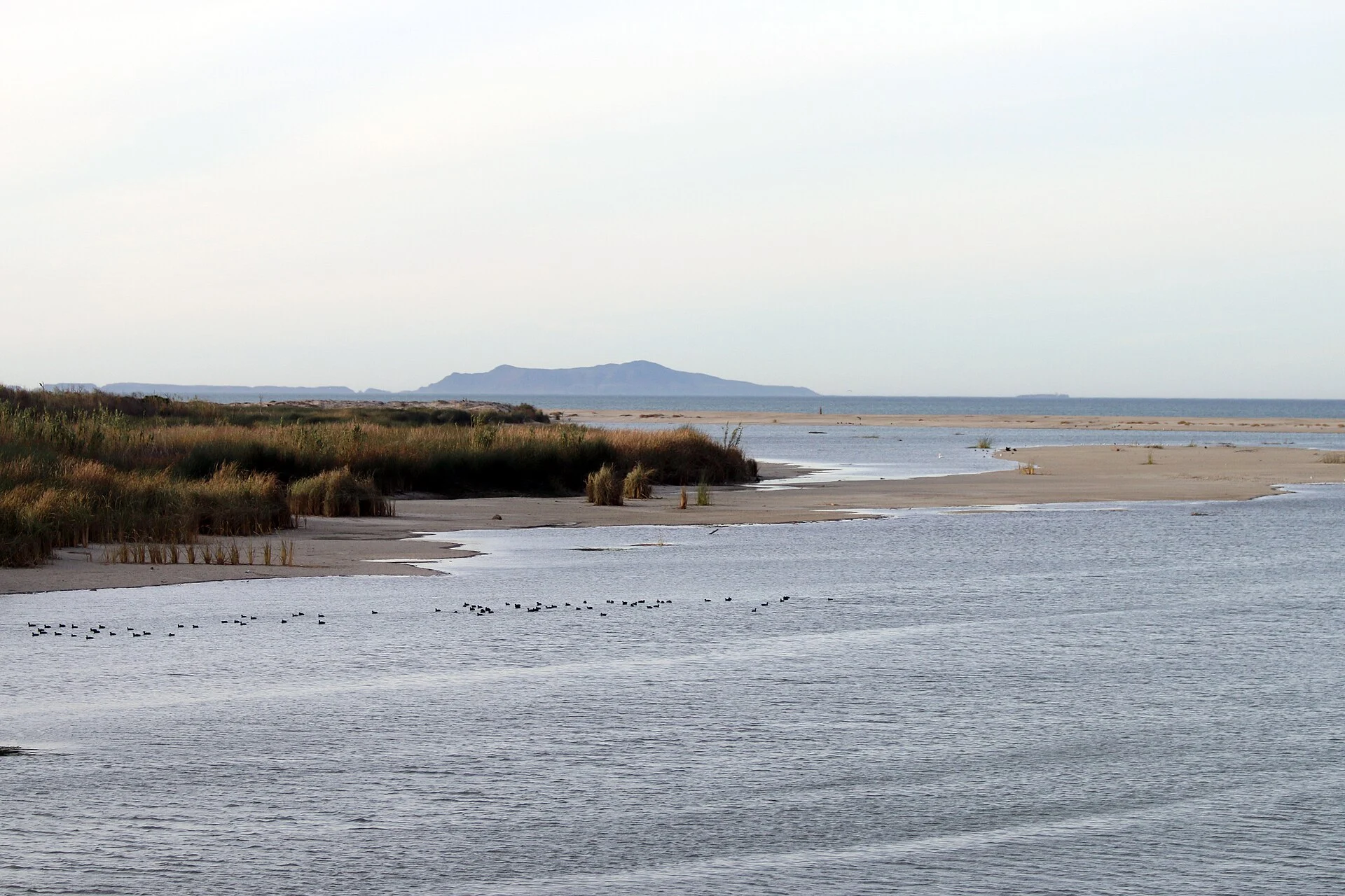 McGrath State Beach